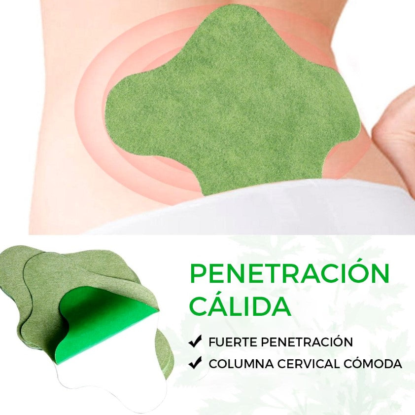 Parches Para Dolor Espalda y Cuello